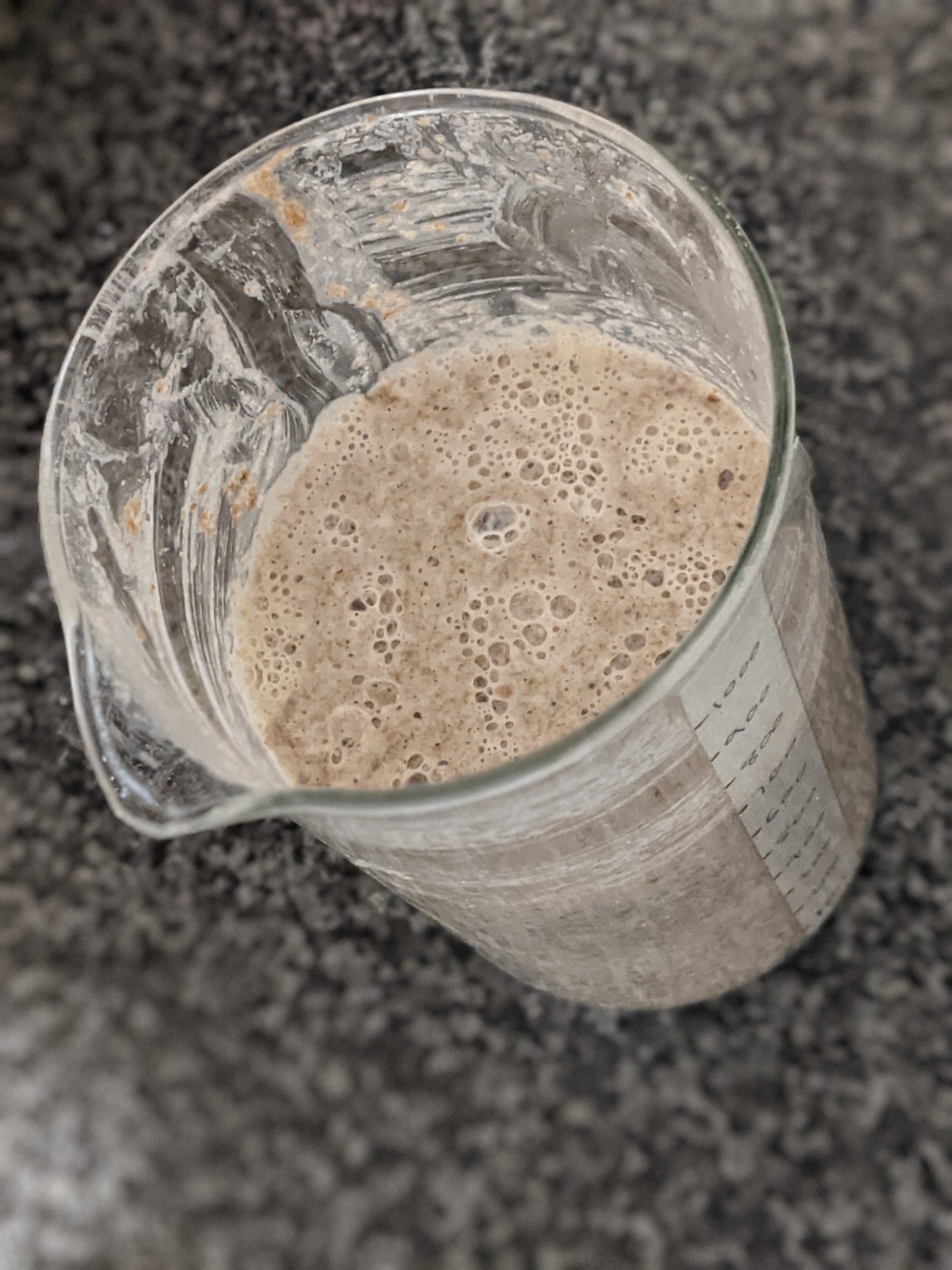 Sourdough Starter