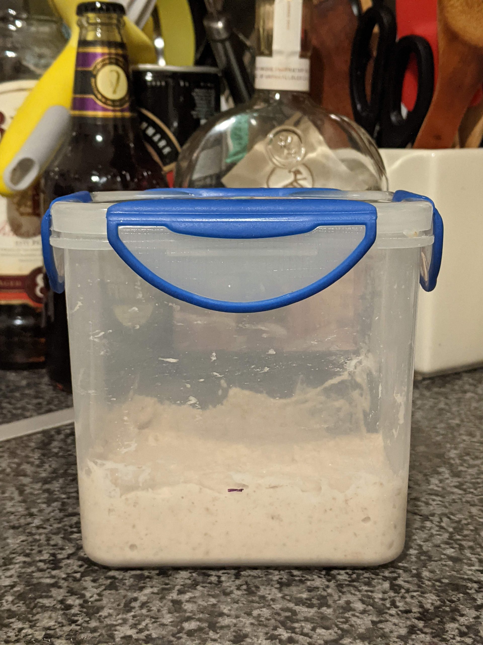 Sourdough Starter II